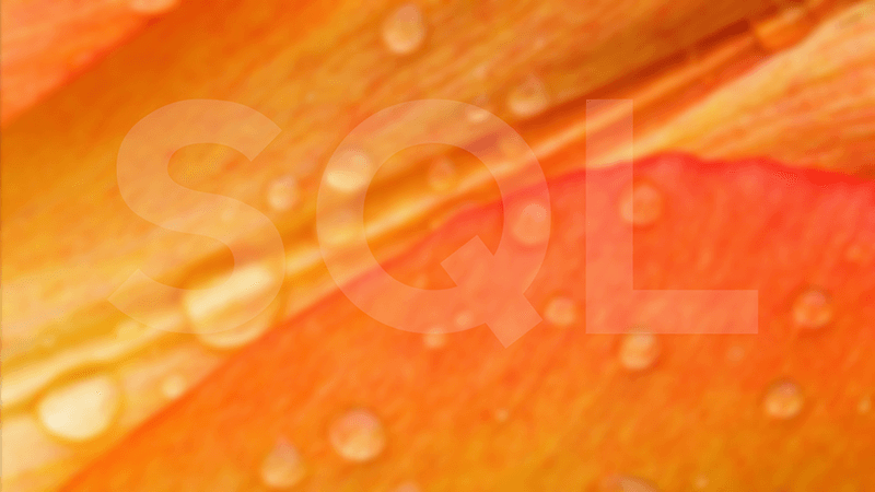 Graphic Design Portfolio - Image 11