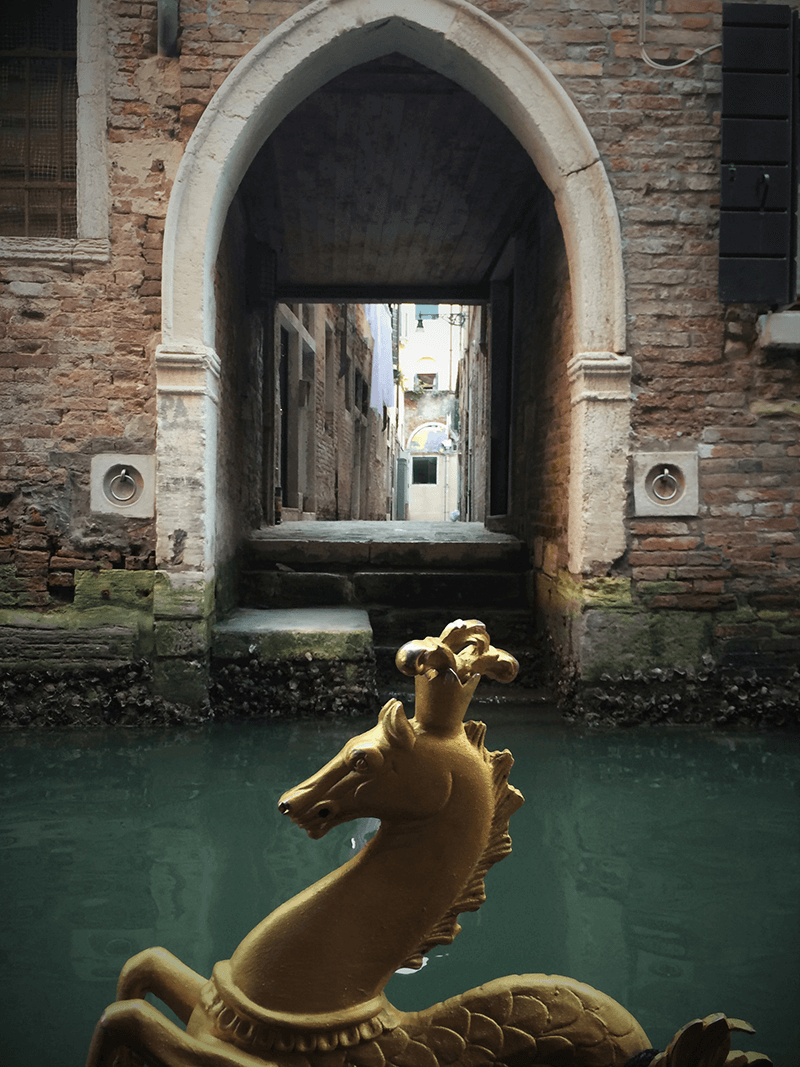 Photography Portfolio - Image 1