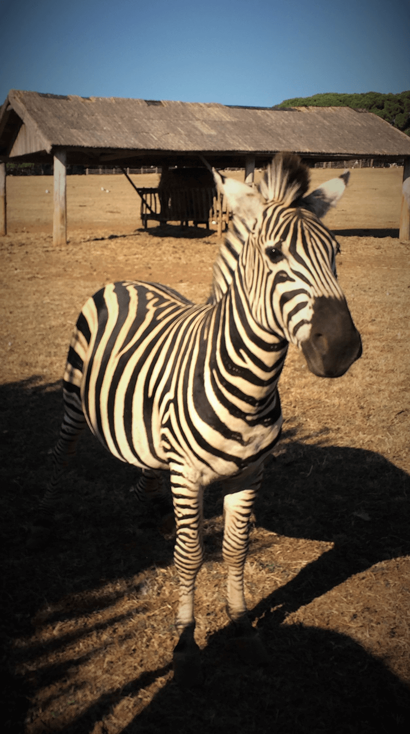 Photography Portfolio - Image 12