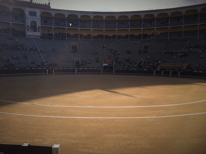 Photography Portfolio - Image 18