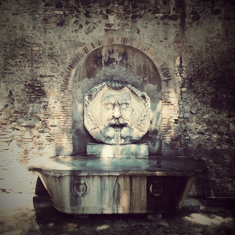 Photography Portfolio - Image 6